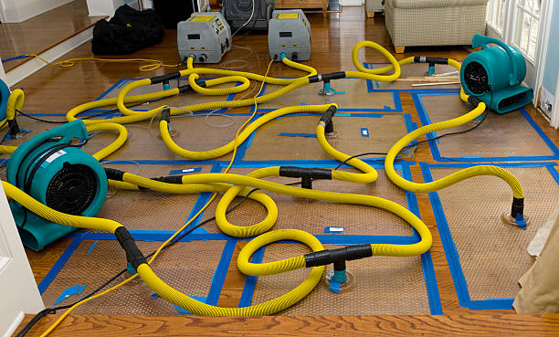 Professional Water Extraction technician working in Frederic, MI