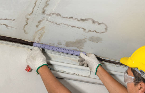 Affordable Water Damage Repair solutions in Frederic, MI